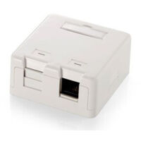 Rj45 Rosette Oberfläche Leer 2 Buchsen Equip 125122