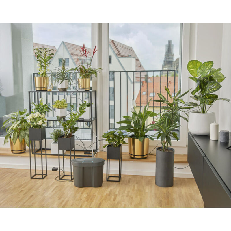 Geli Cassetta Per Annaffiare Aqua Green, 100 Cm, In Plastica Marrone 21 Cm Vaso Da Fiori 23451234
