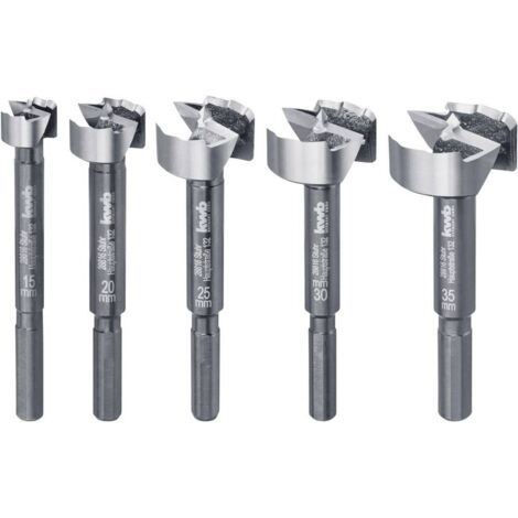 Set di velocità per foratrice per forstner batteria, setf in 5 pezzi. Di legno (1/4)