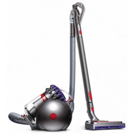 Aspiratore Dyson Big Ball Parquet 2 argento e viola (1/5)
