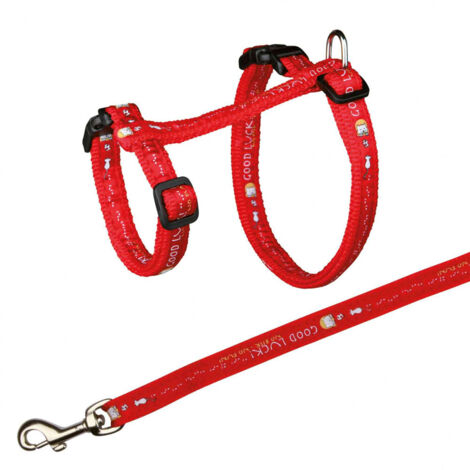 Imbracatura XL con guinzaglio per gatti di grossa taglia. 34-57 cm/13 mm. colore casuale.