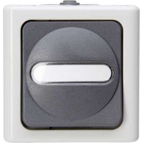 Kopp 560856002 1 pezzo Interruttore per ambienti umidi Completo Pulsanti BlueElectric Grigio 1 pz.