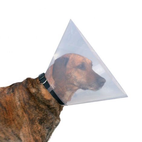 Collare elisabettiano per cani Trixie (38-44 cm) (38-42 cm)