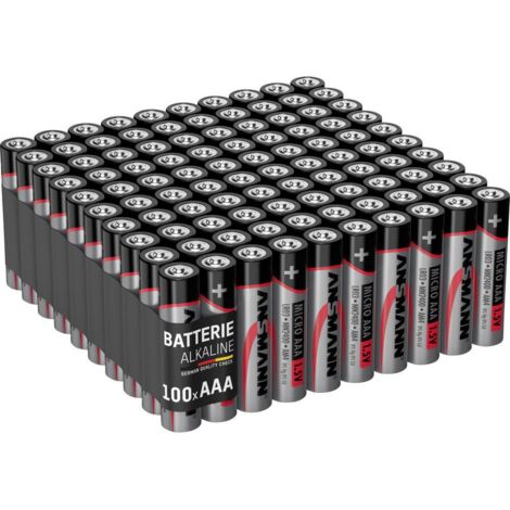 Ansmann Micro AAA LR03 100er Box Batteria Ministilo (AAA) Alcalina/manganese 1.5 V 100 pz.