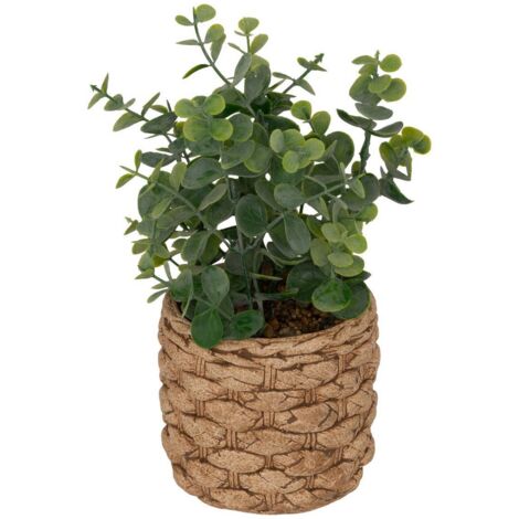 Eucalipto artificiale in vaso jaye h27cm - Atmosphera créateur d'intérieur (1/3)