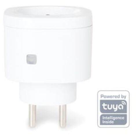 smart spina intelligente wifi - collegamento a terra del rubinetto (1/5)