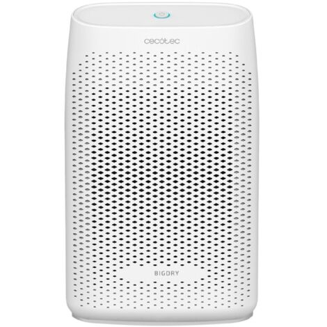 Cecotec – Deumidificatore BigDry 2000 Essential – Potenza 20 L/giorno – Serbatoio estraibile 0,7 l – Silenzioso per ambienti fino a 20 m² (1/5)