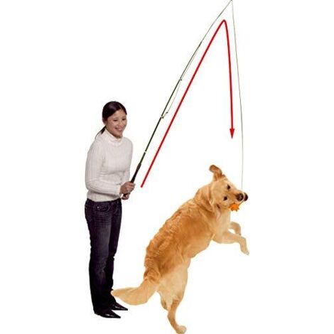 Supporto per addestramento pericoloso per cani K 49 - 165 cm, (1/4)