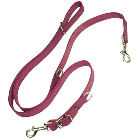Guinzaglio per Cani Gloria Oasis Multiplo 2.1 x 200 cm Rosa