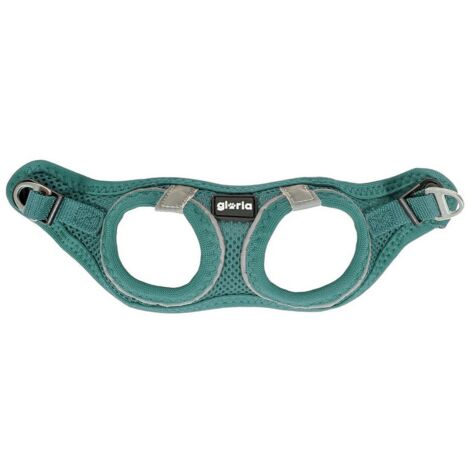 Imbracatura per Cani Gloria Air Mesh Trek Star Regolabile Turchese Taglia XXXS (18-20 cm) (1/4)