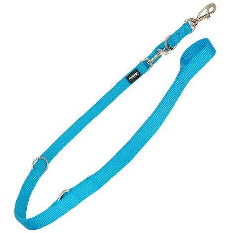 Guinzaglio per Cani Red Dingo Turchese (2,5 x 200 cm)