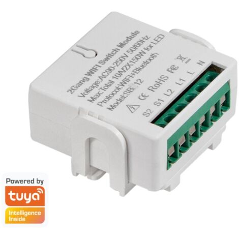 Modulo WiFi Logilink per Interruttore Smart 2 CH Alexa Google Home Tuya Bianco (1/2)