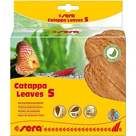 Cura dell'acqua sera catappa leaves foglie naturali 14 cm (1/4)