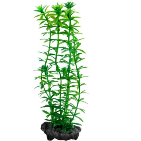 Tetra Pianta Decorativa in Plastica Modello Anacharis (Egeria Densa) Misura S (1/2)