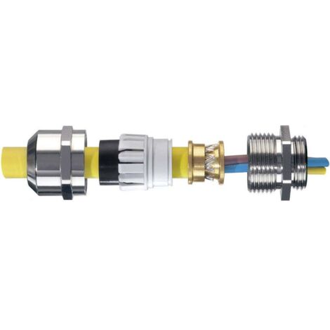Wiska 10065018 Pressacavo filettato M20 Ottone Ottone 50 pz. (1/2)