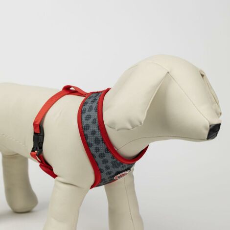 Imbracatura per Cani - CERDÁ LIFE'S LITTLE MOMENTS - Minnie - Confortevole - Regolabile - XS-S (1/5)