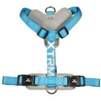 Arnes X-TRM Cronos Neon Flash Blue 25mm x 60-100 cm