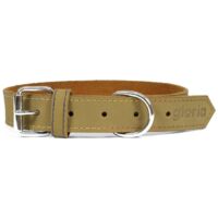 Collare per Cani Gloria Oasis Verde (35 x 1,2 cm)