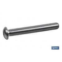 DIN ISO 7380 C-10.9 ZINCATO