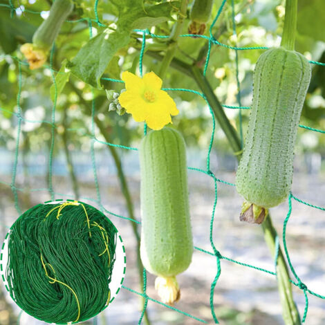 1.8mx3.6m Filet d'escalade pour Plantes Filet d'escalade en nylon pour plantes grimpantes, support pour légumes (tomates, haricots) et vignes (1/5)