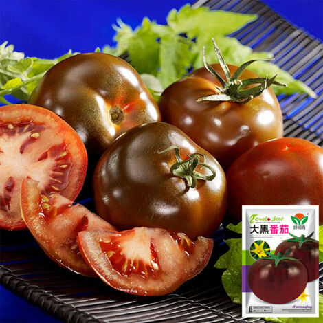 Graines de Tomates Noires Daheiren – 100 graines/sachet, 2 sachets pour jardin et potager (1/5)