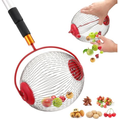 Ramasseur de Noix à Rouleau 32x19 cm – Ramasse Glands, Châtaignes, Fruits et Balles de Golf, Outil Pratique pour Jardin (1/5)