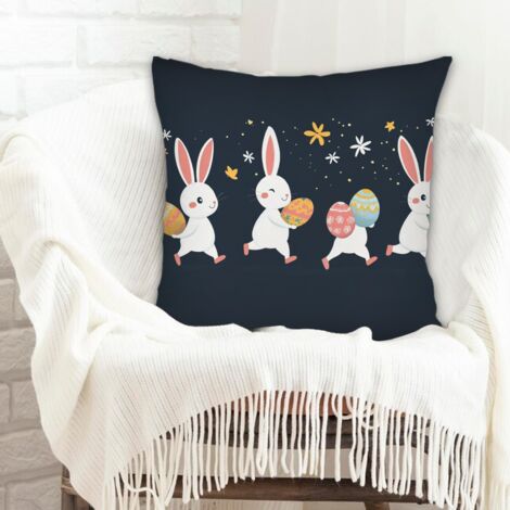 Housse de coussin sans coussin cachée zippée pour Noël, anniversaire, ou toute occasion (1/5)