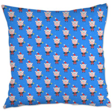 Housses de coussin de décoration incolore pour décoration de maison et de chambre la saint-valentin (1/5)
