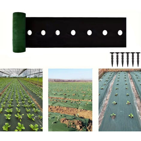 Toile de paillage 6mx0.6m - Bâche géotextile anti-mauvaises herbes anti-UV perméable à l'eau anti-repousse - Avec trous et 6 piquets en plastique – Maintient l'humidité du sol
