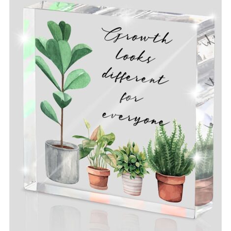 Décoration inspirante - La croissance est différente pour tout le monde - Panneau en acrylique motivationnel avec plante pour décoration de maison, chambre à coucher, bureau et table (1/5)