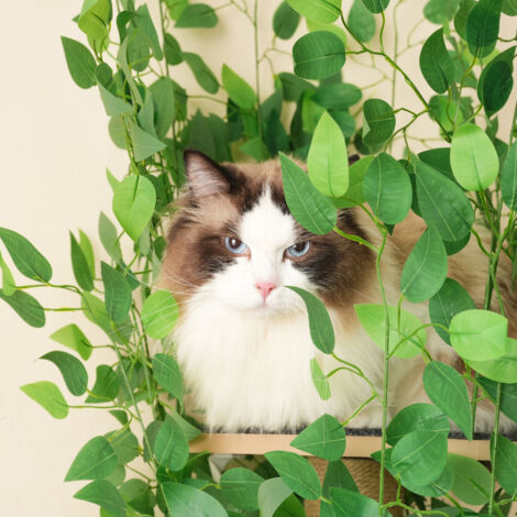 Un lit de chat de 190 cm de hauteur, en forme de arbre. Il comprend 4 plateformes et des trous pour les chats. Le matériau utilisé est adapté aux animaux domestiques.car il leur permet de se cacher ou (1/5)