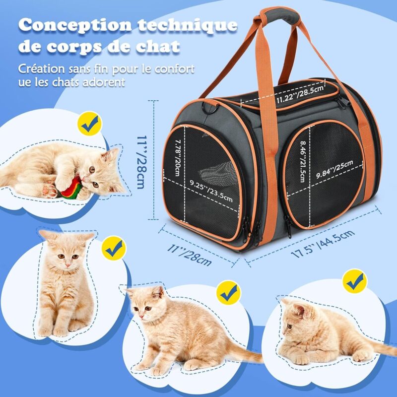 Sac D'hydratation CAT 10L – Respirant Et Rembourré – Avec Ceinture Réglable – Multicolore