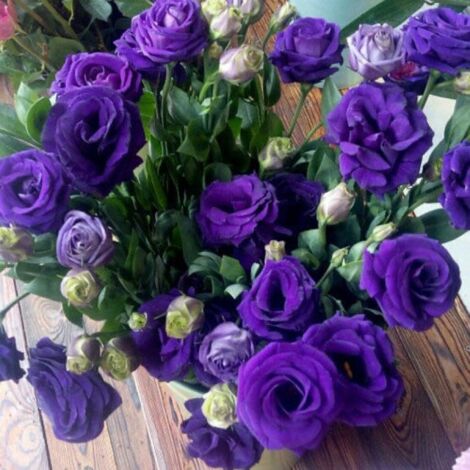 5000 graines de lisianthus violet - Floraison originale et colorée, facile à cultiver, idéal pour jardin et pots décoratifs (1/4)