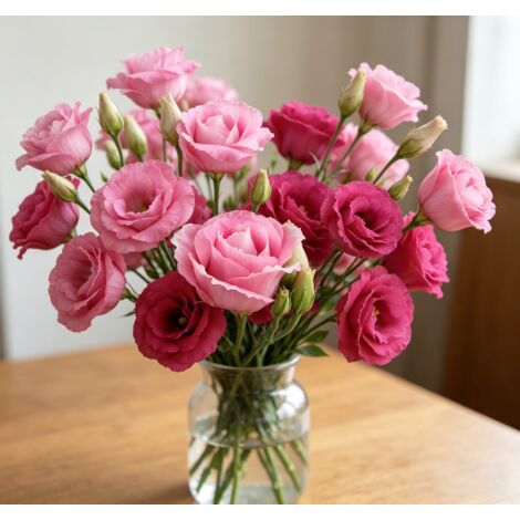2500 graines de lisianthus rouge Lucita - Floraison originale et colorée, facile à cultiver, idéal pour jardin et pots décoratifs (1/5)