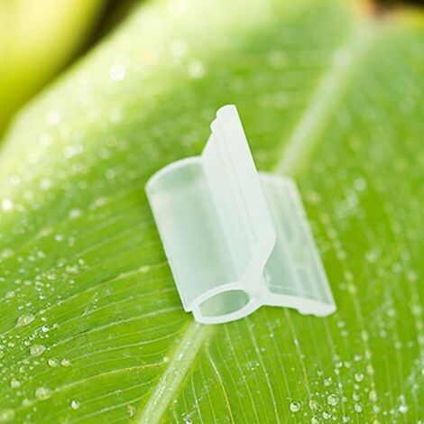 Lot de 100 clips de greffage en plastique pour greffe de tomates, pinces transparentes pour porte-greffe, s'adaptent à différentes épaisseurs de tige (3,5 mm)