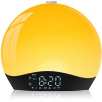 Dawn Simulator Alarm Clock Multi-color LED Lamp FM Radio 22 Sounds 2 Alarms Snooze Timer