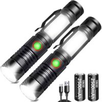 Rechargeable COB Work Light 2 Pack Magnetic Zoomable