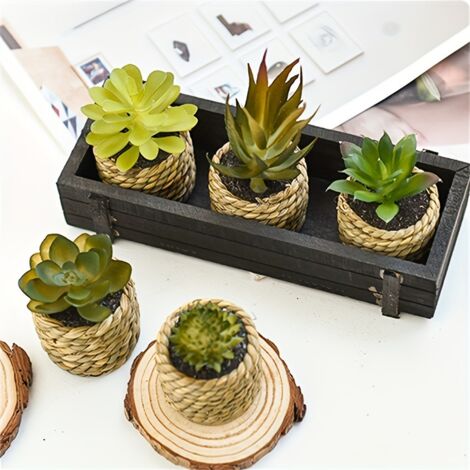 Lot de 5 plantes artificielles en pot - Succulentes artificielles d'aloe vera - Pots de fleurs en plastique pour l'intérieur et l'extérieur : cuisine, bureau, décoration de mariage
