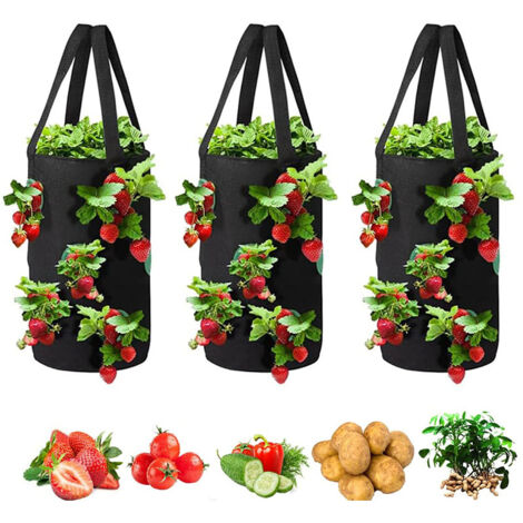 Lot de 3 planteurs inversés suspendus, Sacs de culture à l’envers pour fraises et tomates – Durable, respirant – Idéal pour balcon, terrasse, pergola – Culture verticale sans contact avec le sol (1/5)