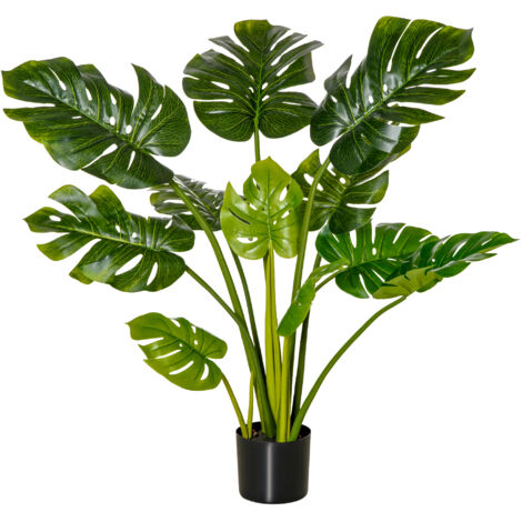 Plante décorative pour la décoration intérieure. Hauteur : 110 cm. Plante cultivée dans un pot en plastique. Facile à entretenir, idéale pour les espaces intérieurs et extérieurs. (1/5)