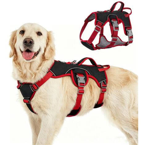 Harnais Pour Chien Avec Bandes Réfléchissantes, Poignée Et Anneau En Laisse – Respirant, Durable, Réglable, Imperméable – Adapté Aux Petites Et Grandes Races, Taille L (1/5)