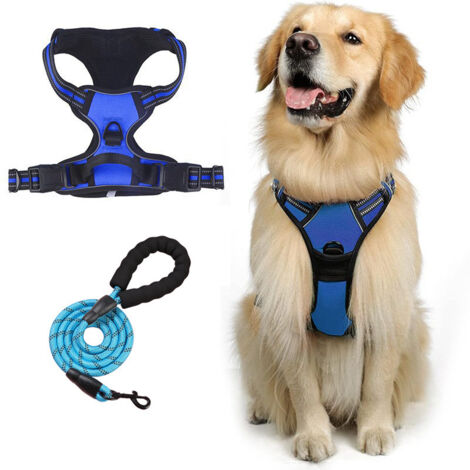 Harnais pour chien avec laisse, Modèle gilet respirant – Bandes réfléchissantes, anti-traction – Réglable – Adapté à toutes les tailles, Taille S (1/5)