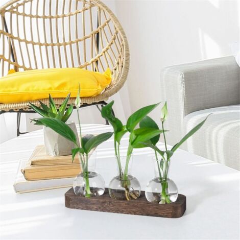 Goldfischschale Aus Glas – Runde Vase Mit Holzsockel, Klein & Klar – Für Hydrokultur, Blumen, Deko – Perfekt Als