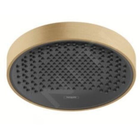 HANSGROHE 26228140 Pomme de tête Rainfinity 250 1 jet (1/5)