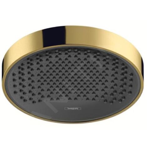 HANSGROHE 26229990 Pomme de douche Rainfinity 250 1 jet (1/5)