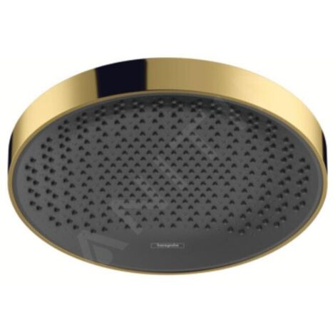 HANSGROHE 26231990 Pomme de tête Rainfinity 360 1 jet (1/5)