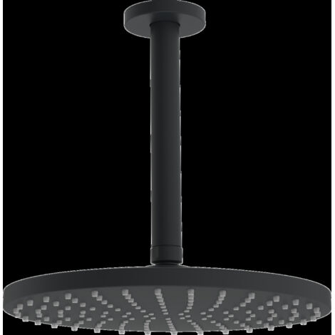 Hansa 4427020033 Tête de douche, ø 250 mm HANSAVIVA 4427 (1/4)