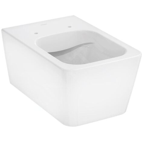 HANSGROHE 60194450 Cuvette murale EluPura Q 540 mm (1/5)