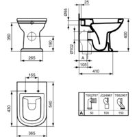 Vaso Calla Filoparete