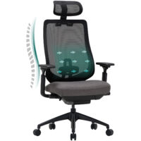 COLAMY Office Chair – Ergonomic Desk Chair with 4D Armrests and Adjustable Seat Depth, Optimal Comfort for Intensive Work – Grey